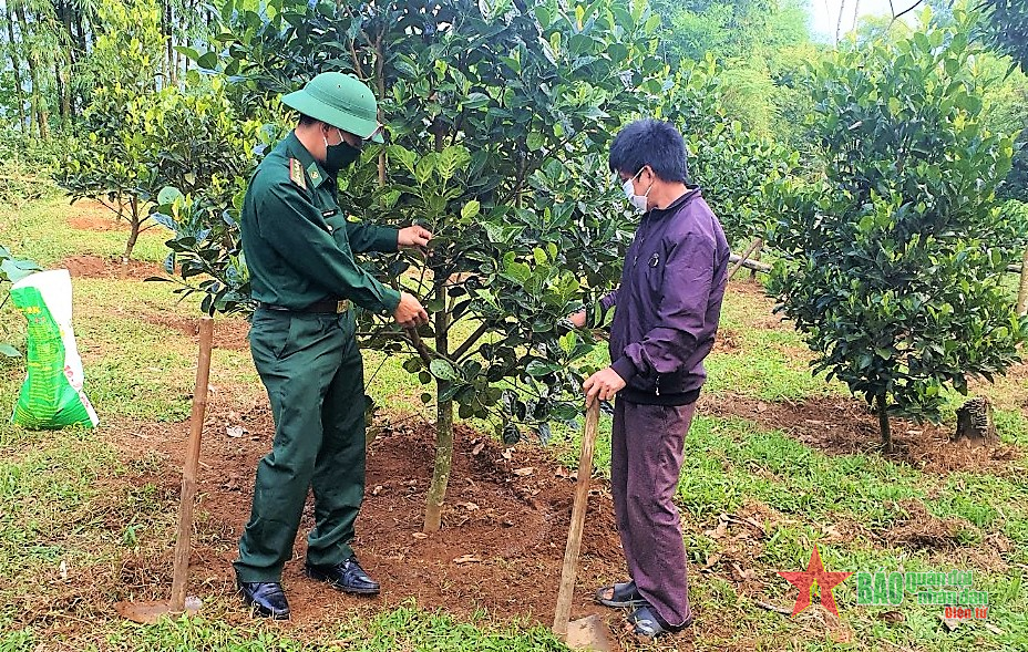 Bộ đội Biên phòng Tri Lễ - cắm bản giúp dân xóa đói, giảm nghèo